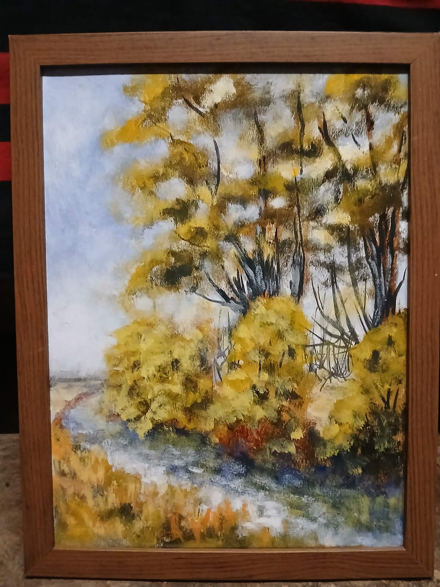 Canalul Morii Reghin